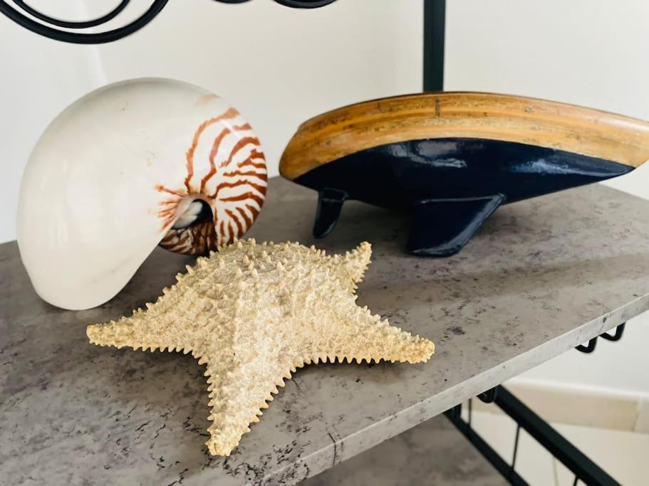La Venezia'S Studio Flat Livorno Dış mekan fotoğraf